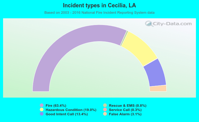 Incident types in Cecilia, LA