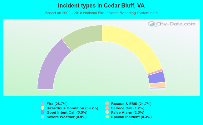Incident types in Cedar Bluff, VA