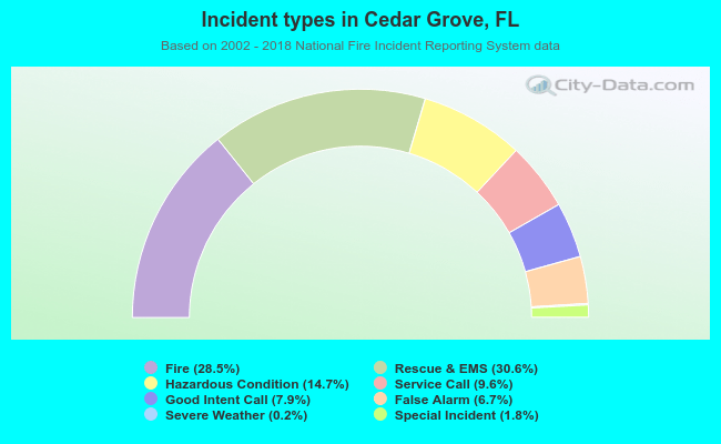 Incident types in Cedar Grove, FL