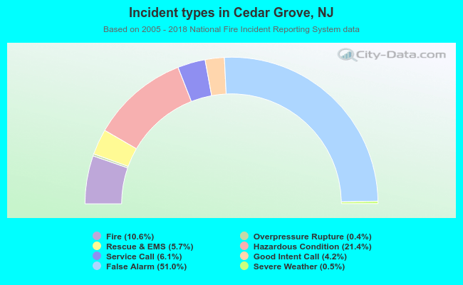 Incident types in Cedar Grove, NJ