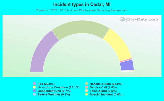 Incident types in Cedar, MI