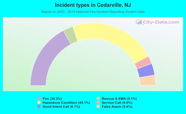 Incident types in Cedarville, NJ