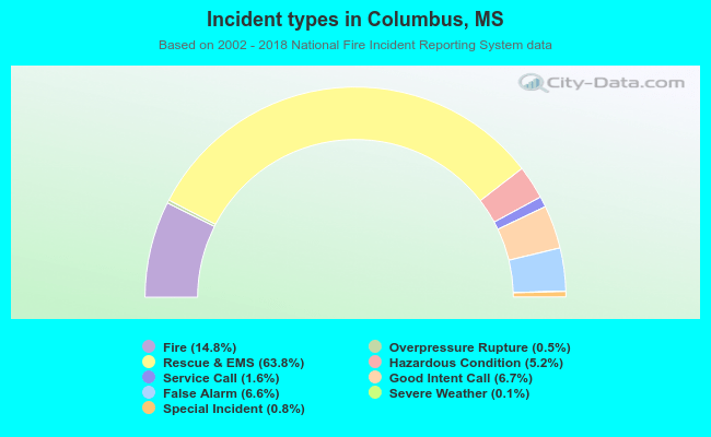 Incident types in Columbus, MS