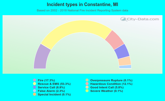 Incident types in Constantine, MI