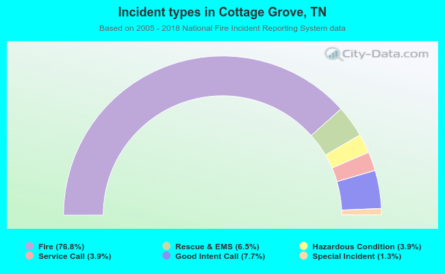 Incident types in Cottage Grove, TN