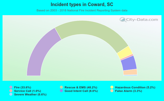 Incident types in Coward, SC