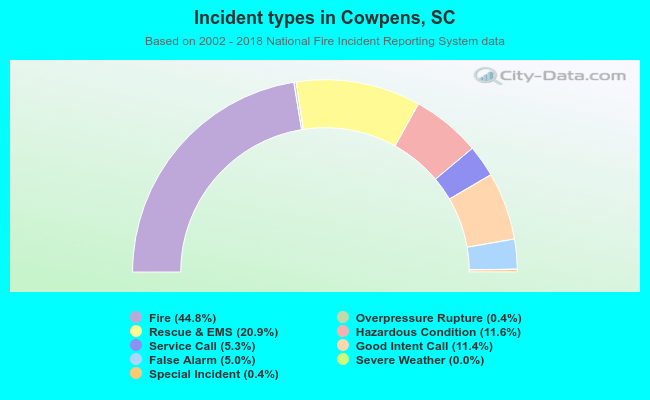 Incident types in Cowpens, SC