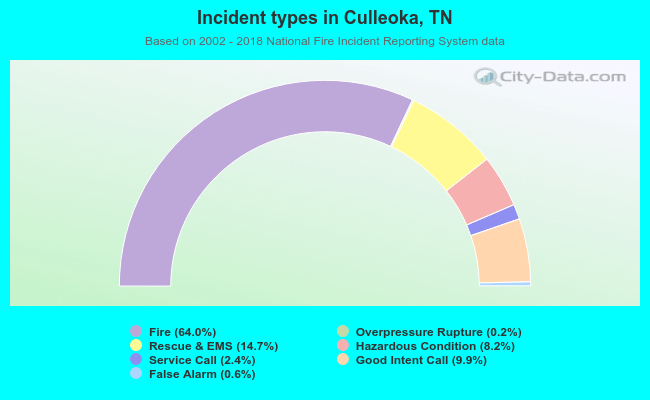 Incident types in Culleoka, TN