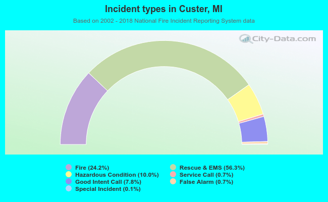 Incident types in Custer, MI