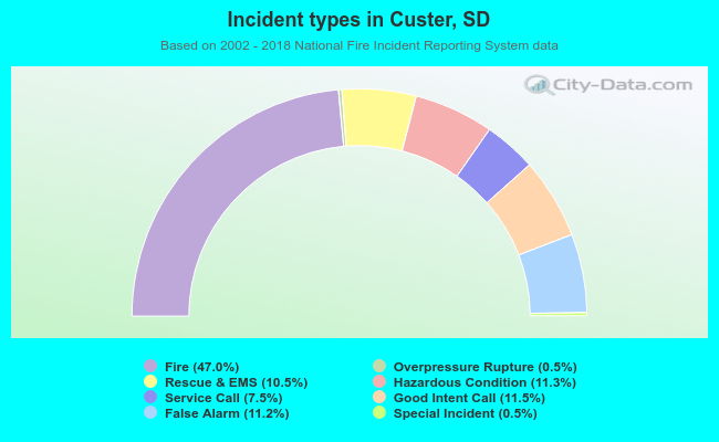 Incident types in Custer, SD