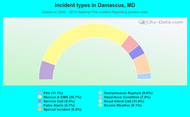 Incident types in Damascus, MD