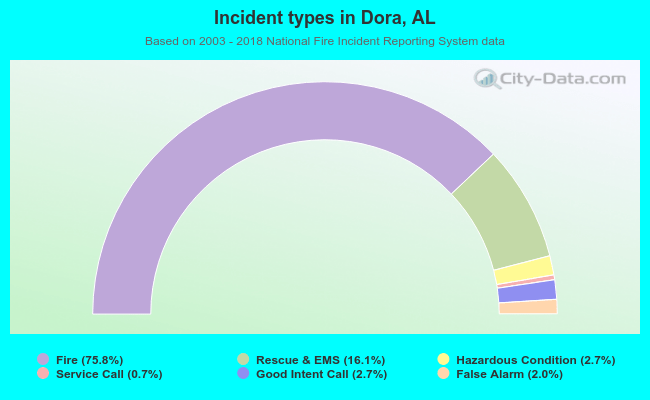 Incident types in Dora, AL