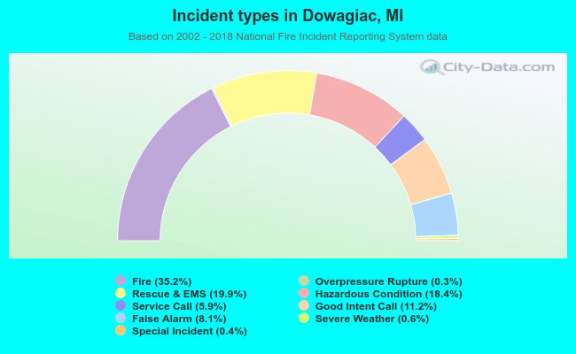 Incident types in Dowagiac, MI