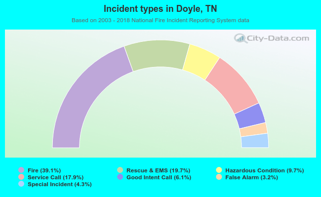 Incident types in Doyle, TN