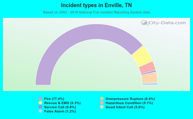 Incident types in Enville, TN
