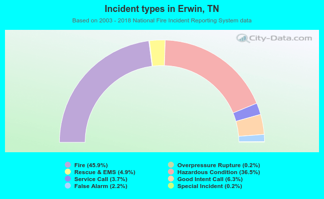Incident types in Erwin, TN