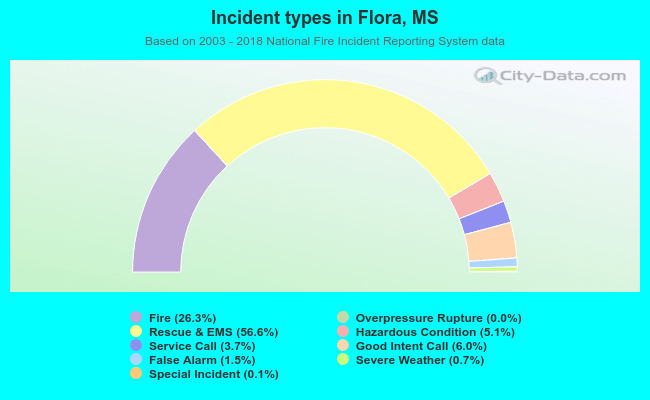 Incident types in Flora, MS