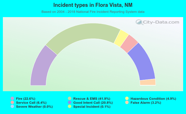 Incident types in Flora Vista, NM