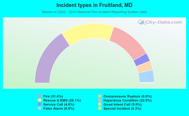 Incident types in Fruitland, MD
