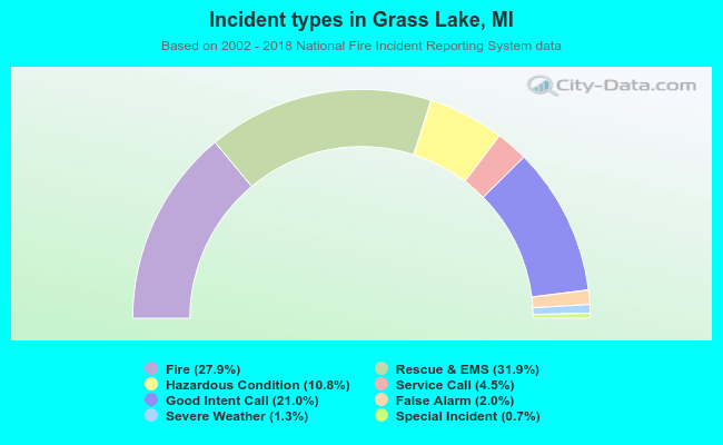Incident types in Grass Lake, MI