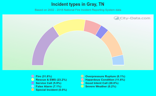 Incident types in Gray, TN
