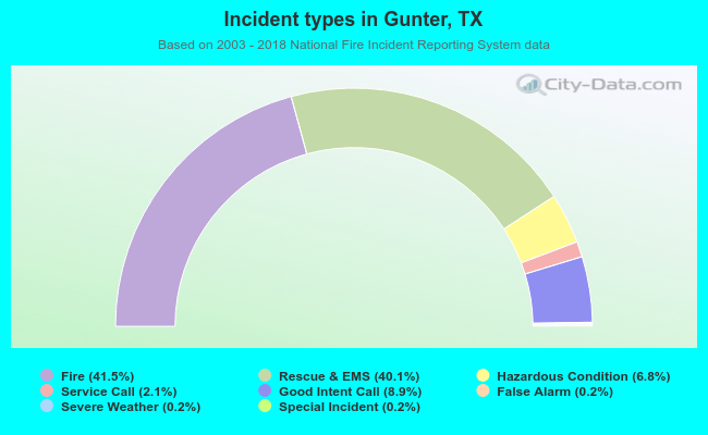 Incident types in Gunter, TX