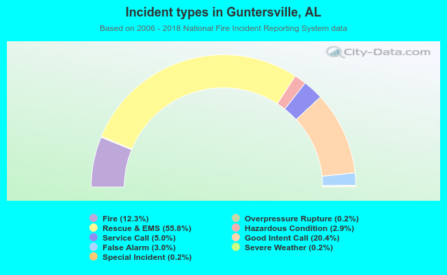 Incident types in Guntersville, AL