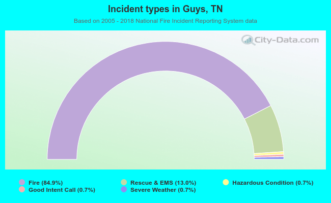 Incident types in Guys, TN