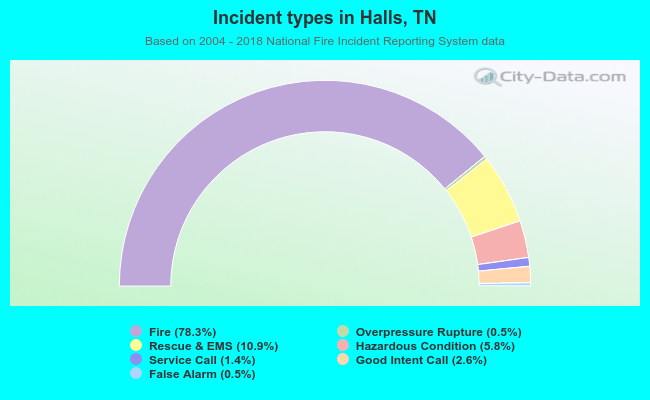 Incident types in Halls, TN