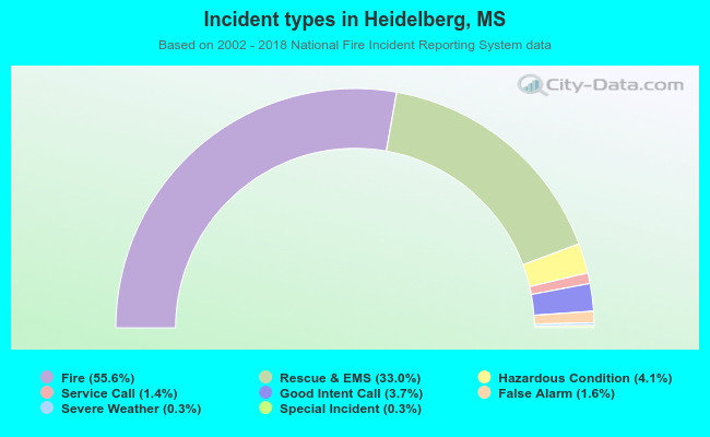 Incident types in Heidelberg, MS