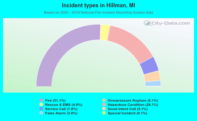 Incident types in Hillman, MI