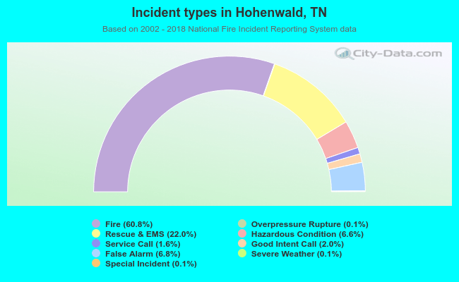 Incident types in Hohenwald, TN