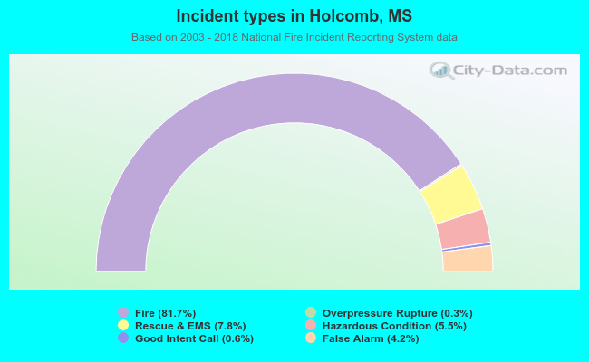 Incident types in Holcomb, MS