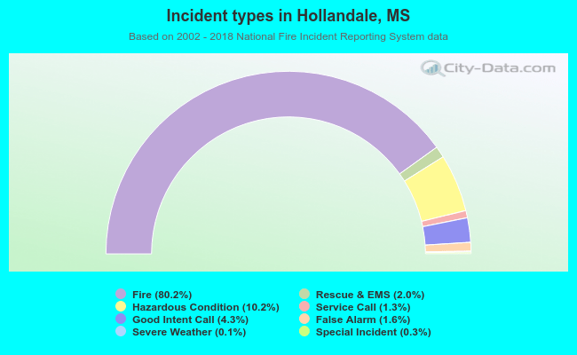 Incident types in Hollandale, MS