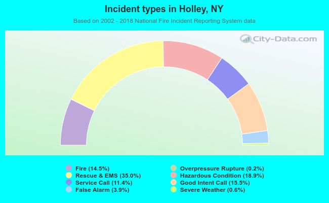 Incident types in Holley, NY