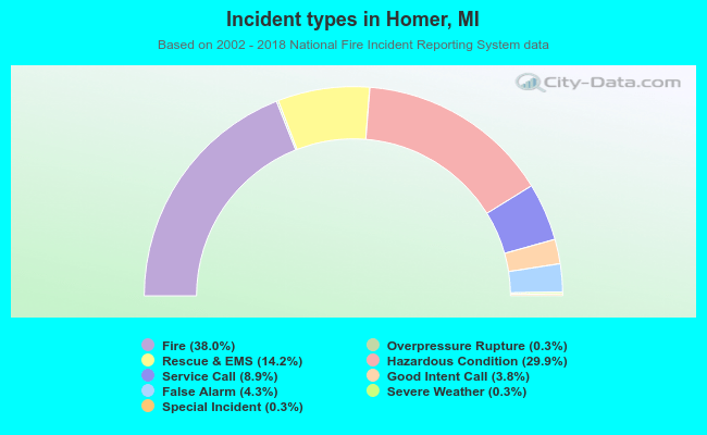 Incident types in Homer, MI