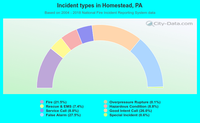 Incident types in Homestead, PA