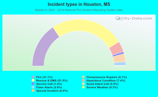 Incident types in Houston, MS