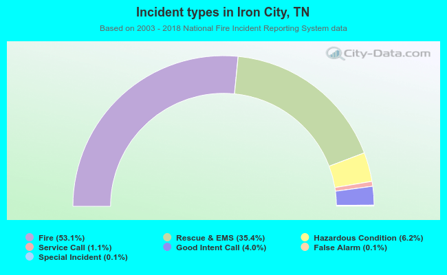 Incident types in Iron City, TN