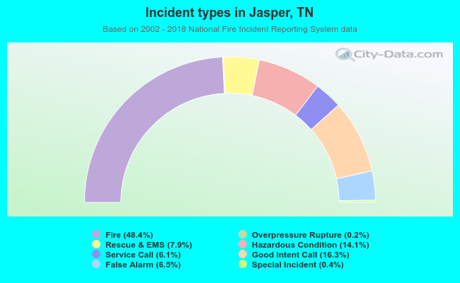Incident types in Jasper, TN