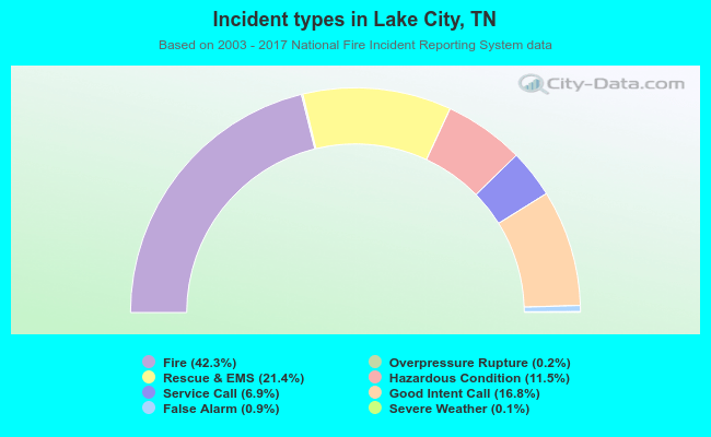 Incident types in Lake City, TN