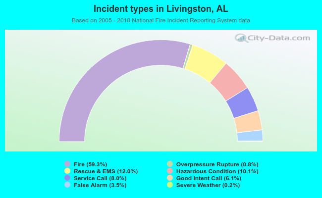 Incident types in Livingston, AL