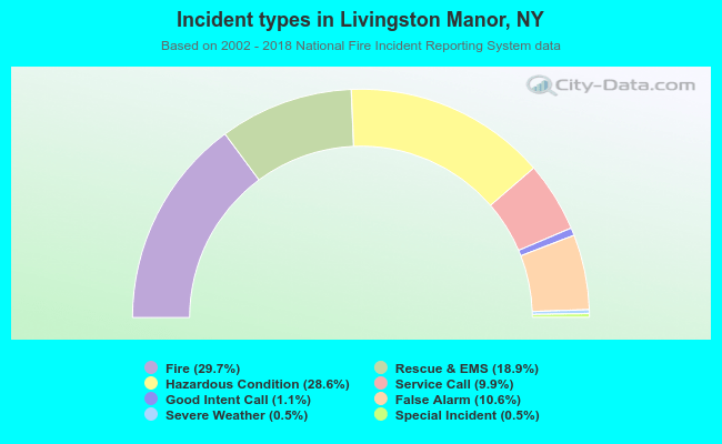 Incident types in Livingston Manor, NY