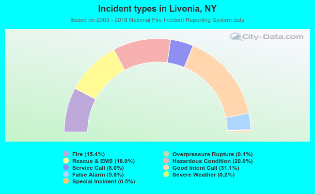 Incident types in Livonia, NY
