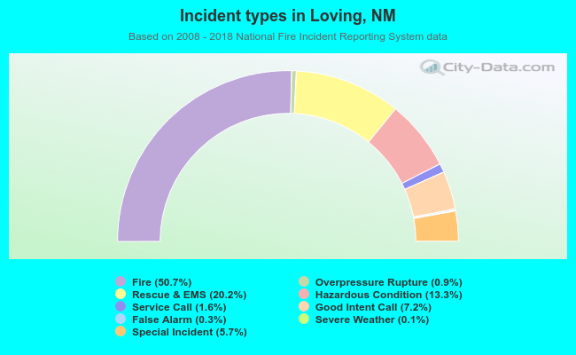 Incident types in Loving, NM