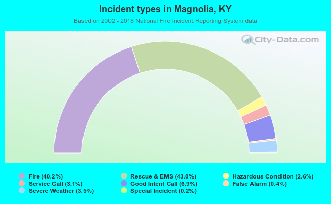 Incident types in Magnolia, KY