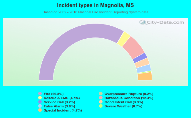 Incident types in Magnolia, MS