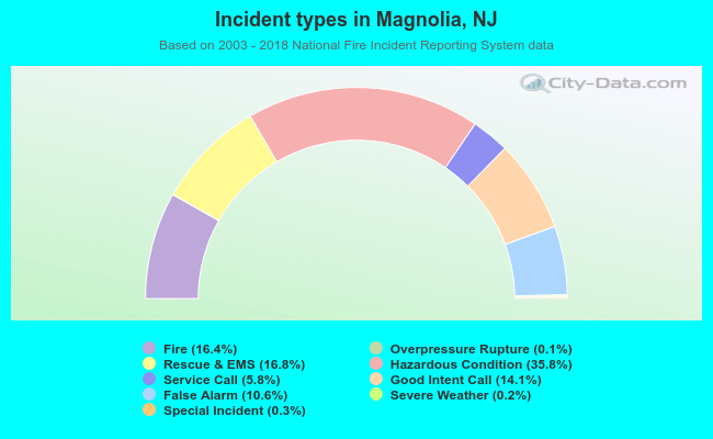 Incident types in Magnolia, NJ