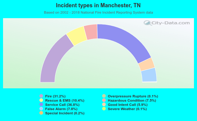 Incident types in Manchester, TN