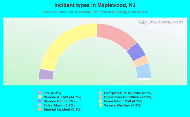 Incident types in Maplewood, NJ